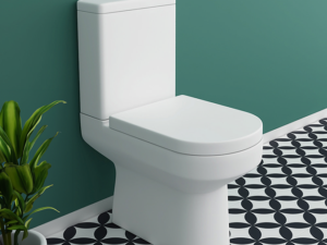 Modern Toilets