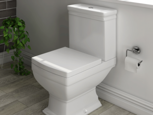 Rydal Traditional Toilet with Soft Close Seat