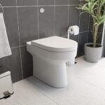 Back to Wall Toilet 