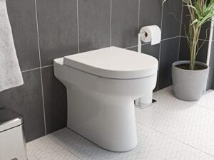 Back to Wall Toilet 