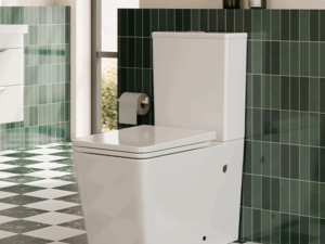 Close Coupled Toilet