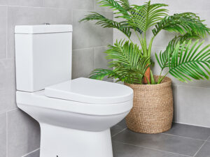 Close Coupled Toilet