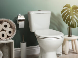 Aqua Close Coupled Toilet