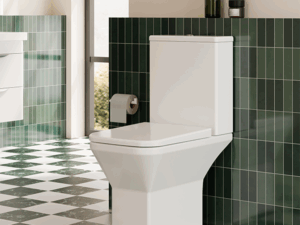 Closed Coupled Toilet