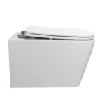 Wall Hung Toilet