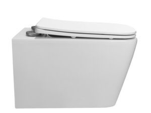Wall Hung Toilet