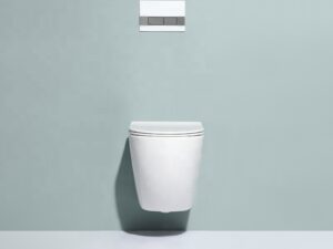 California Wall Hung Toilet